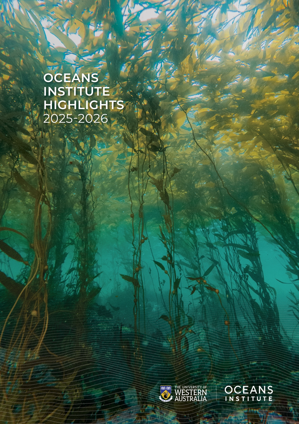 OI Highlights Report 2025-2026_cover