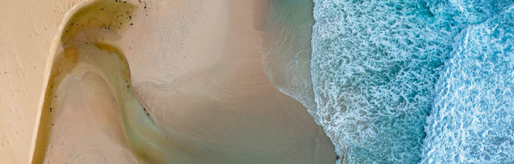 Hero Banner - South West, GS & Wheatbelt Hub