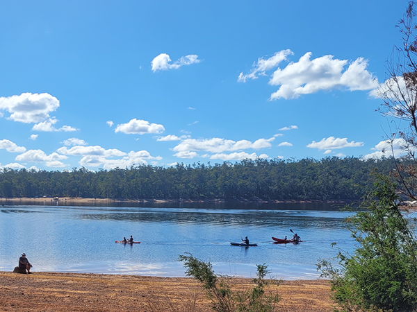 Collie kayaking on the dam 2023