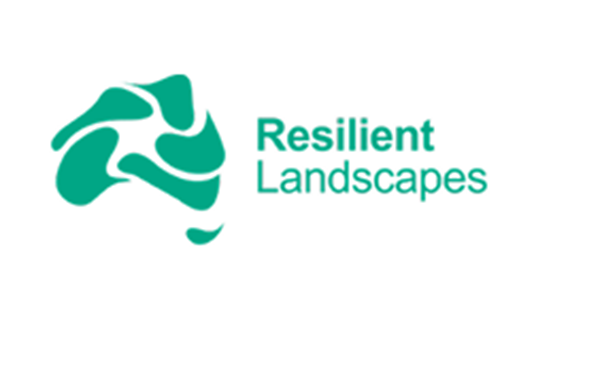 Nespland logo