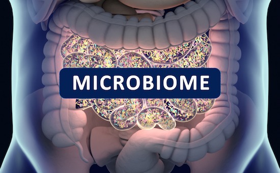 Gut bacteria, gut flora, microbiome. Bacteria inside the small intestine, concept, representation.