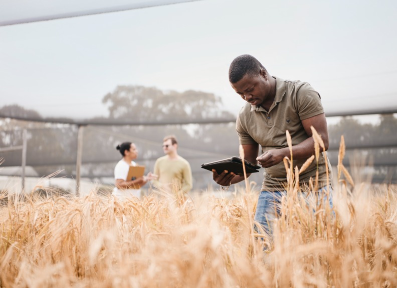 UWA School of Agriculture and Environment : The University of Western  Australia