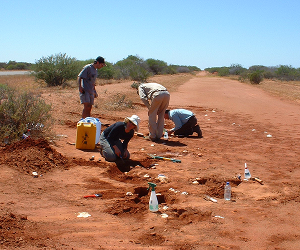 Team from Centre of Evolutionary Biology in the field 