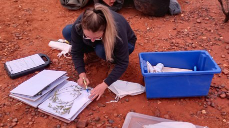 Academic in the field examining specimens