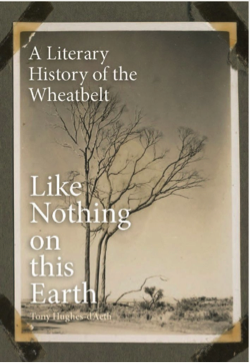 Like Nothing on this Earth book cover