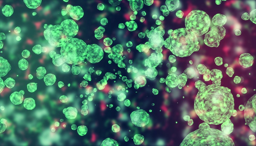 Microscopic bacteria