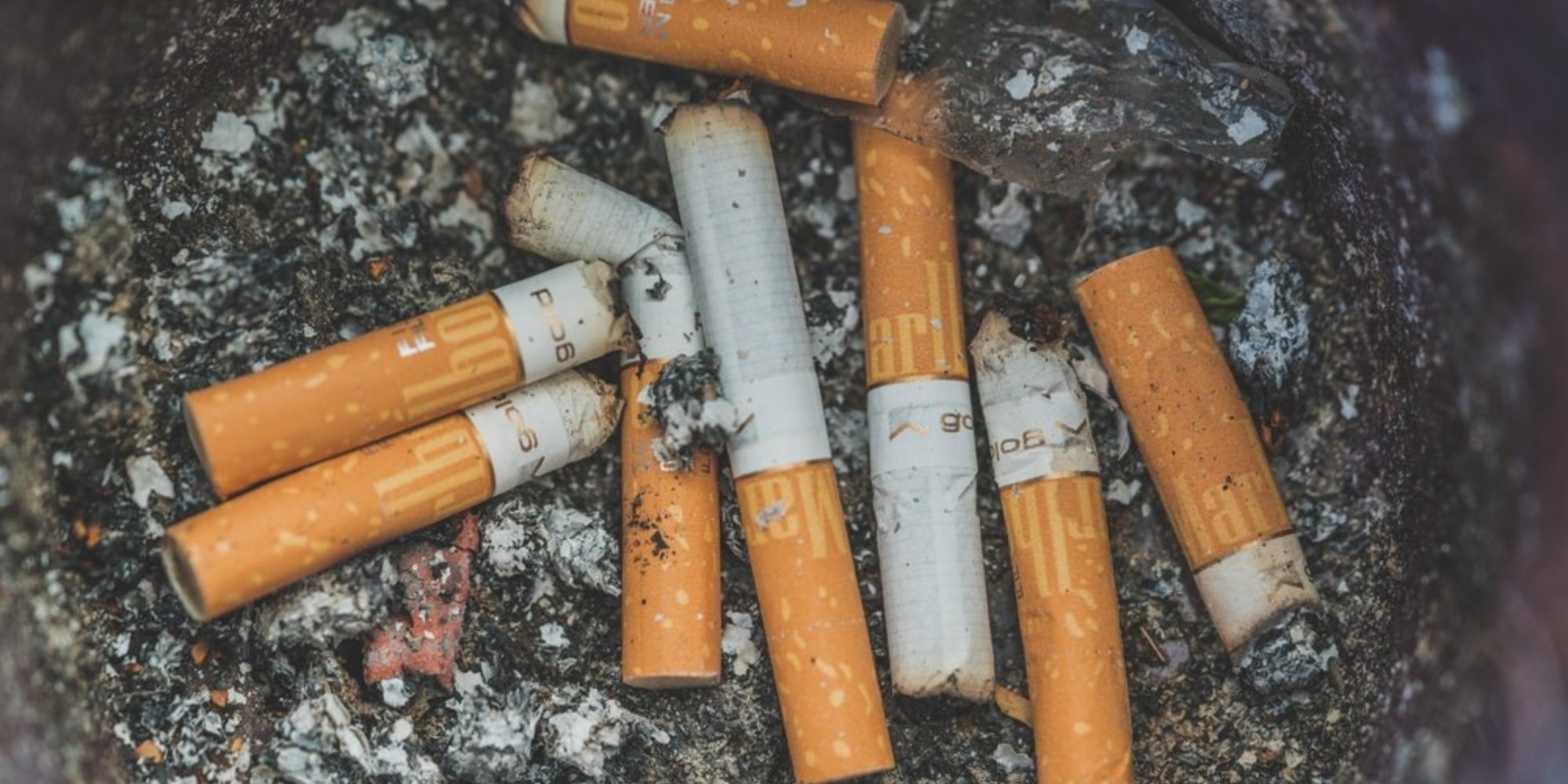 Cigarette butts
