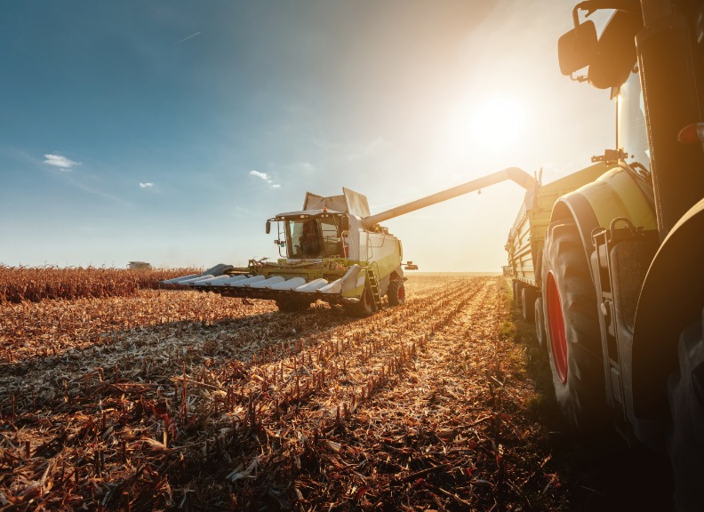 Combine harvester