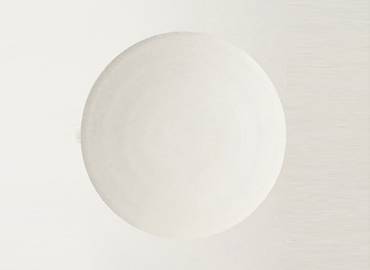 A white circular object centred on a plain light background..