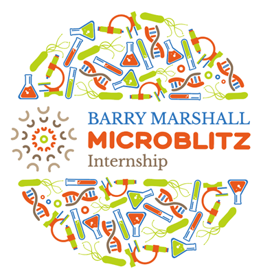 MicroBlitz logo