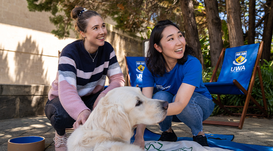 A student and volunteer on campus patting a dog