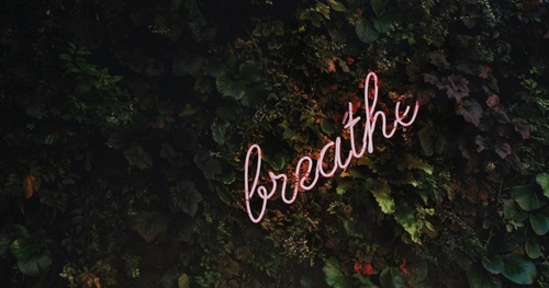 Text breathe on green hedge