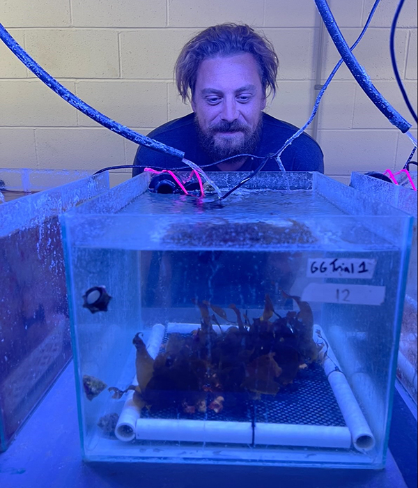 Jurgen with kelp research project