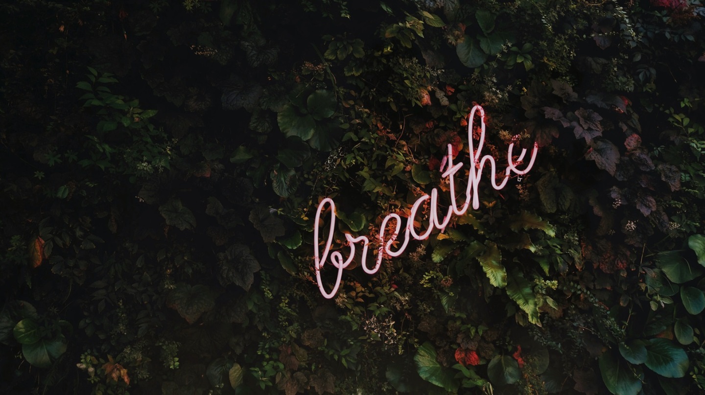 Text breathe on green hedge