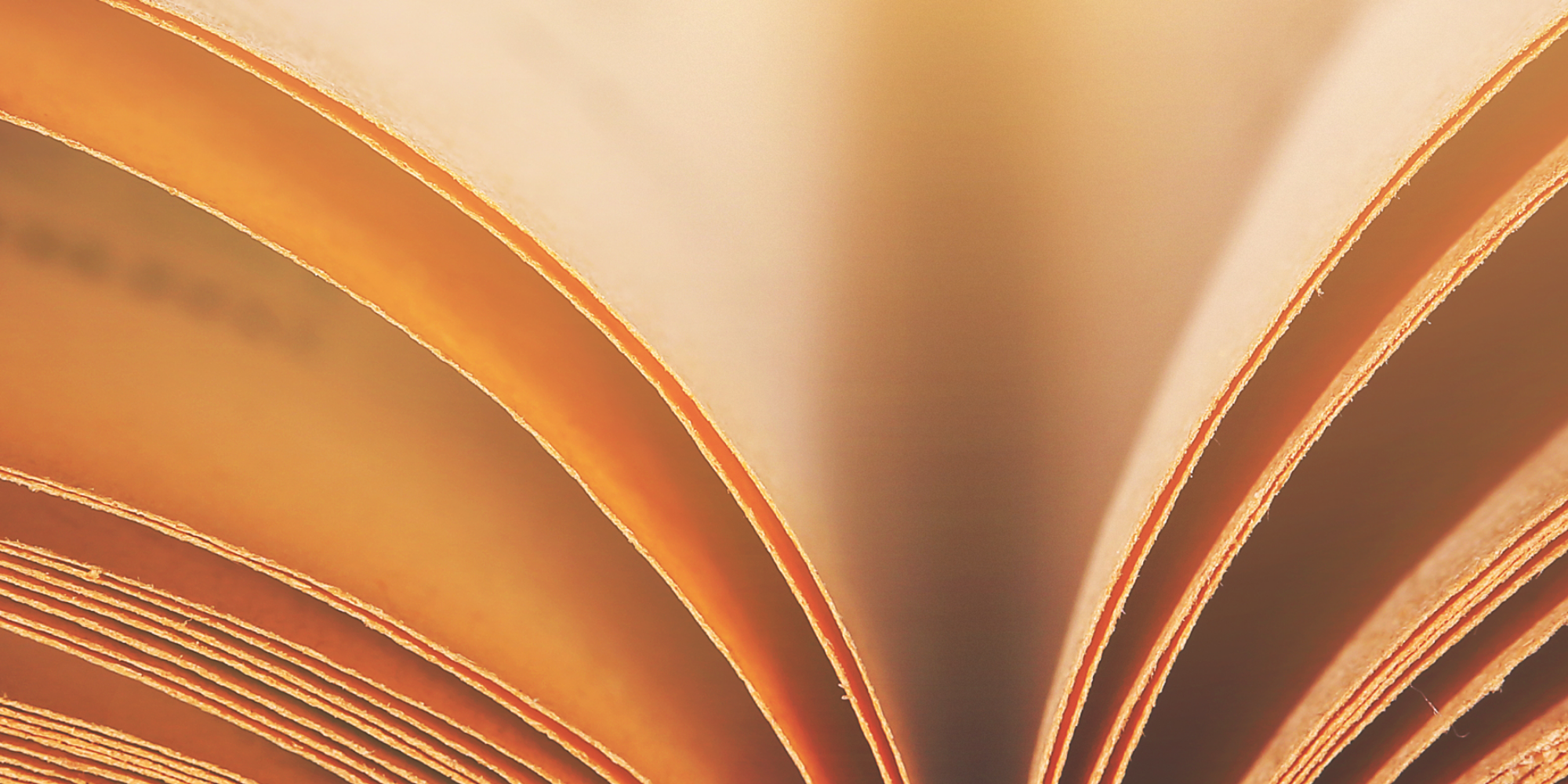 close up of pages of books