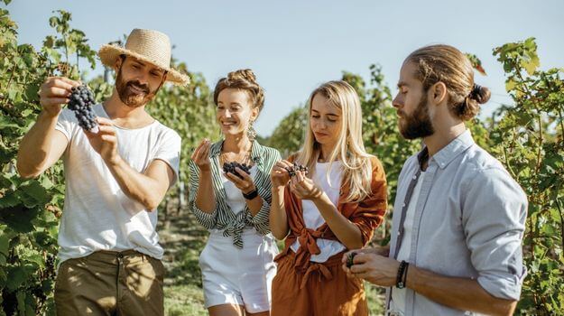 Group of friends in the Swan Valley