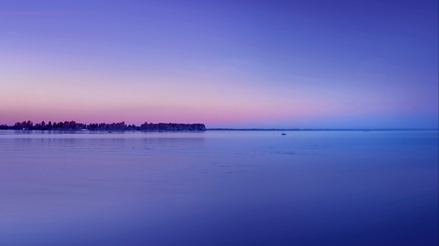 Blue and purple matilda bay