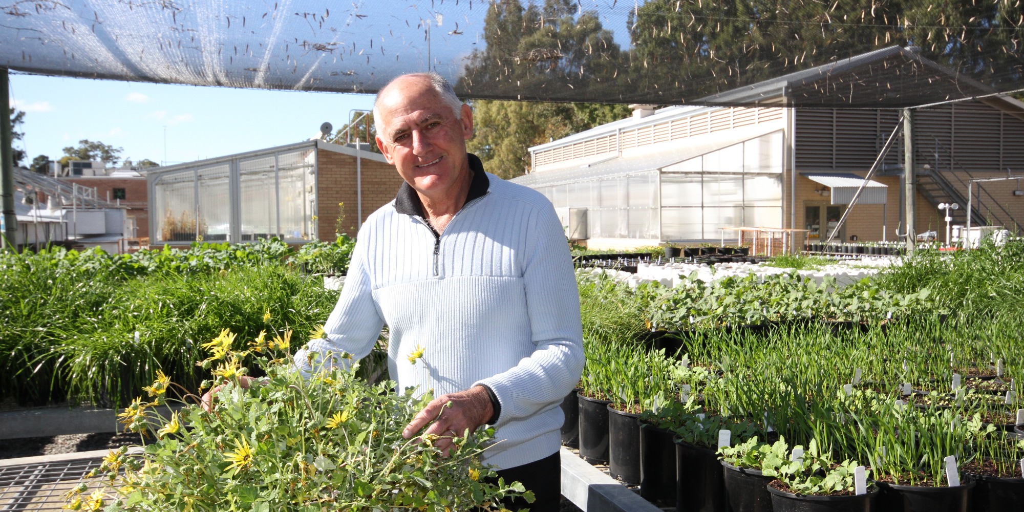Stephen Powle with plant in greenhouse