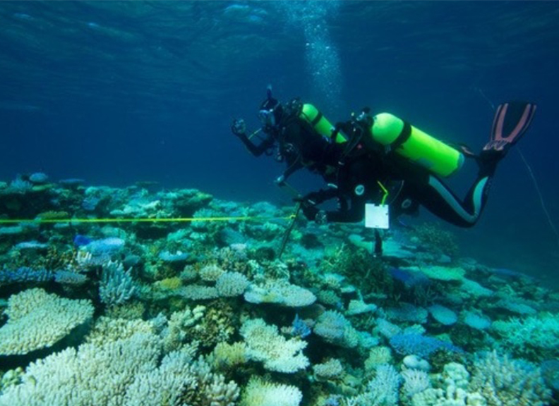 Two scuba divers in the ocean observing a coral reef