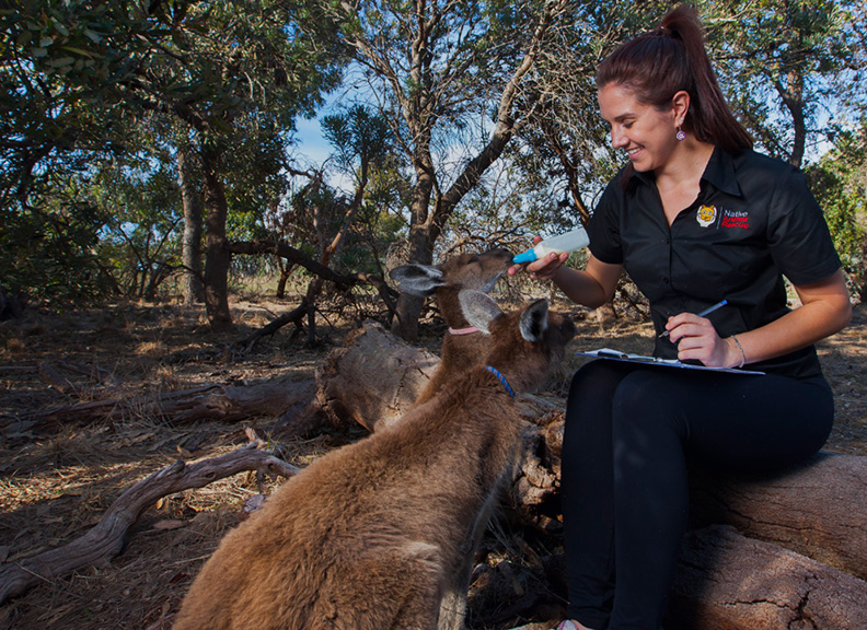 Zoologist : The University of Western Australia