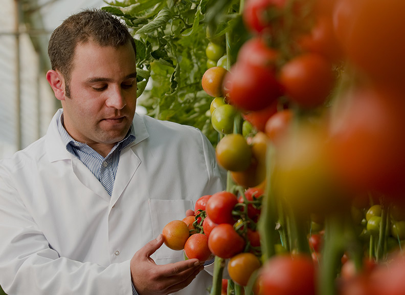 Master of Agricultural Science : The University of Western Australia