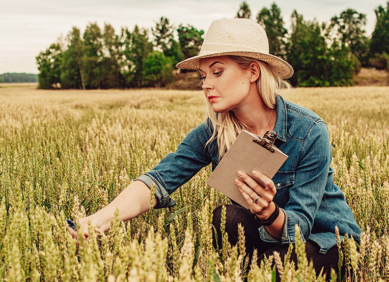 Bachelor of Agricultural Science and Master of Agricultural Science : The  University of Western Australia