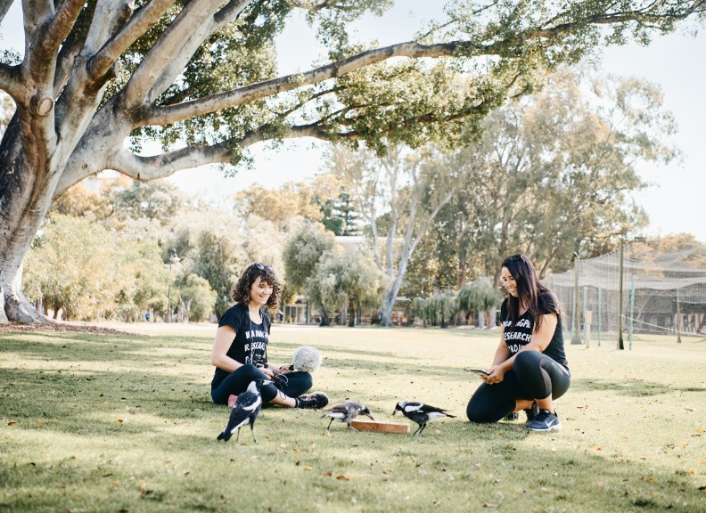 Two female students observing magpies