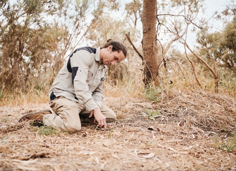 Male student in Australian bushland holding a blue tongue lizard