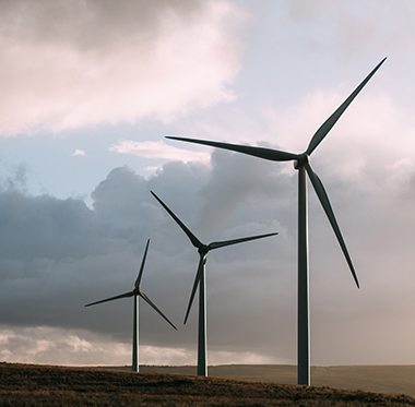 Wind turbines in field