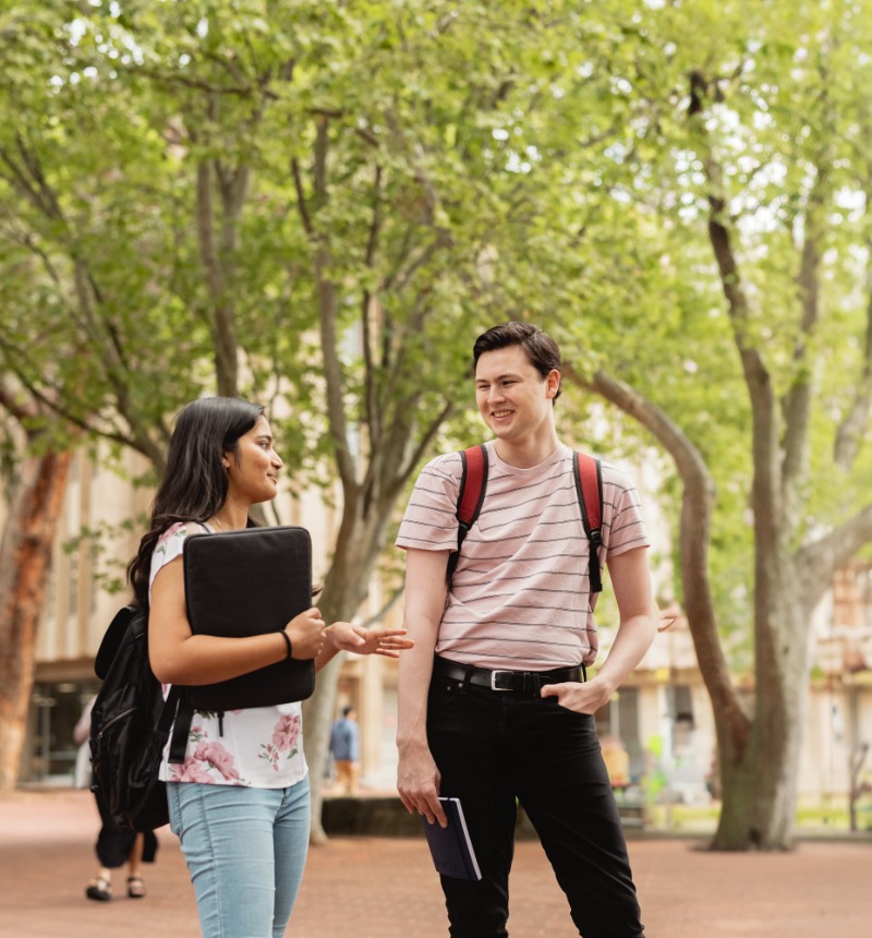 Two students standing and talking