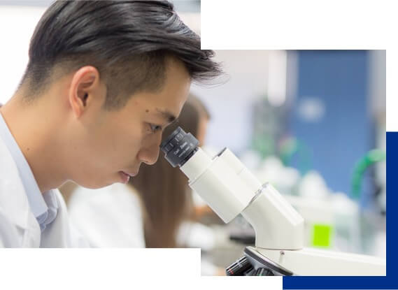 Student using microscope