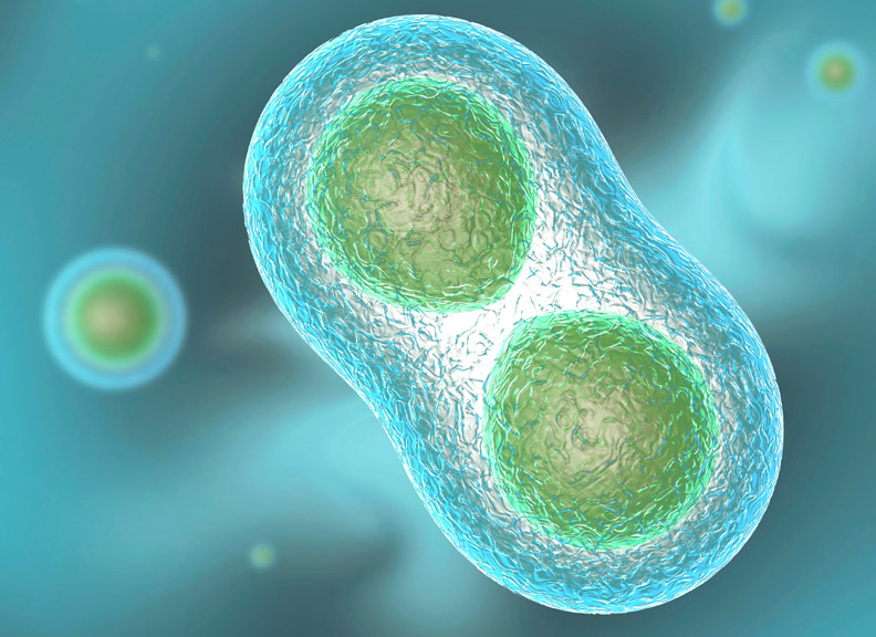 Biochemistry and Molecular Biology