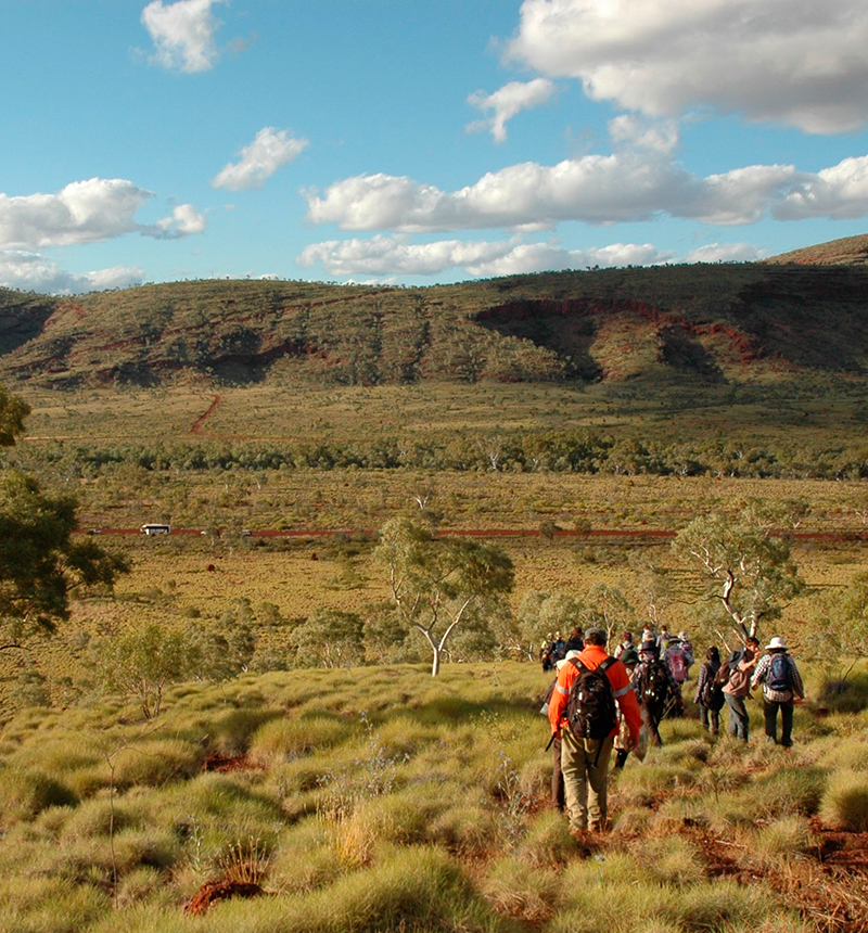 Biological science students out in the field