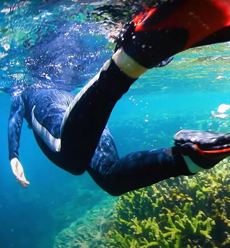 Diver wearing fins in the ocean swimming over coral